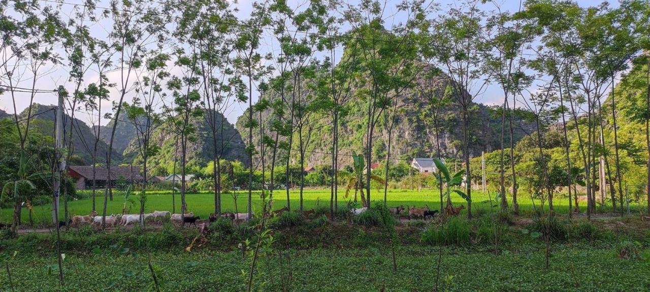 Villa Trang An Retreat à Ninh Bình Extérieur photo